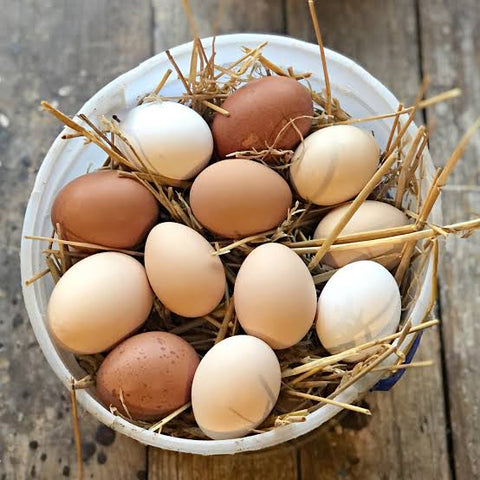 Desi Organic Eggs