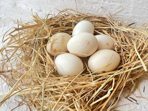 Desi Organic Eggs