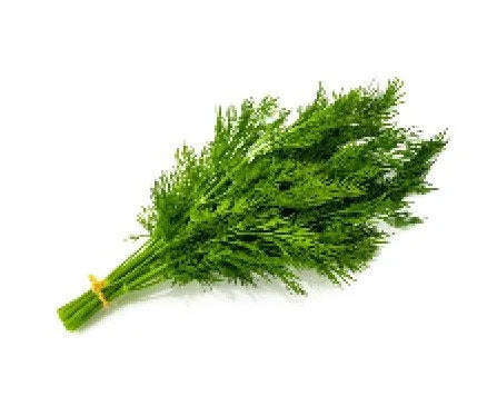 Dill Leaves