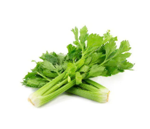 Celery