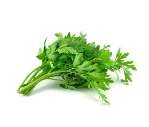 Flat Leaf Parsley