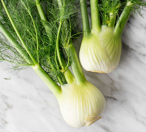 Fennel Fronds