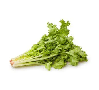 Frisee Lettuce