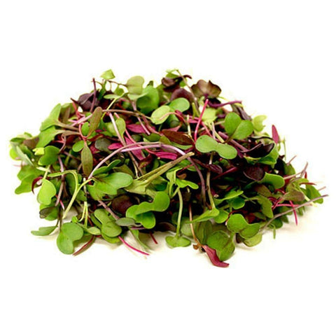 Mix Microgreens